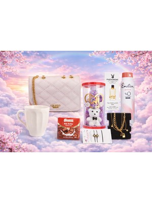 OEM Sevgililer Gününe Özel Işıklı Ayıcıklı Fanus ve Çanta Premium Kadın Hediye Set Kutusu