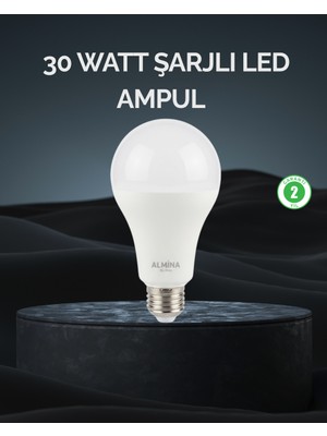 Şarjlı LED Ampul 30 Watt Soğuk Beyaz - Lisinya