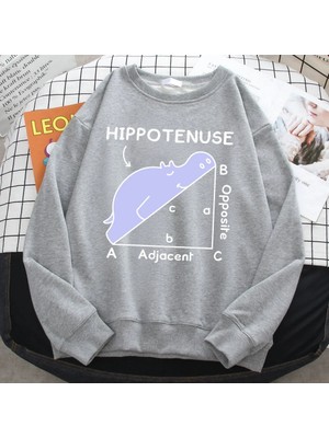 Trend Sonbahar Kazak Kadınlar Için Hippo Matematik Sorunu Üzerinde Uyku Baskı Hoody Yumuşak P