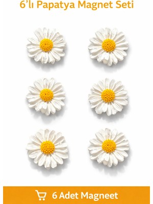 Daisynote 6’lı Papatya Figürlü Buzdolabı Magnet Seti – Dekoratif & Not Tutucu Magnetler (4,8 Cm)