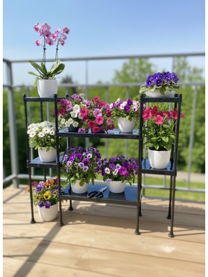 Lider Tunç Tuniva Luna Modern Tasarım Basamaklı Çiçeklik Standı - Çok Amaçlı Balkon ve Iç Mekan Rafı