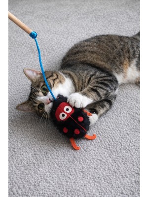 Şanslı Uğur Böceği Kedi Oltası - Kedi Otlu Oyuncak