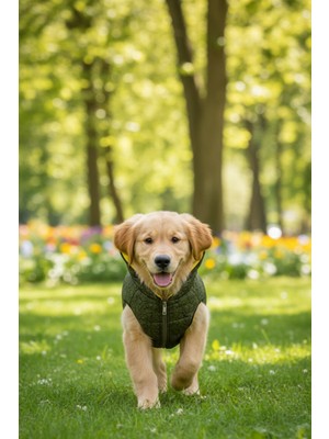 Zen Dog ZenPaw Kapüşonlu Köpek Montu – Fermuarlı, Yumuşak Iç Astar, Soğuk Havalara Uygun