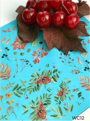 Gala Smart  Stıcker Naıl Art No:wc-12