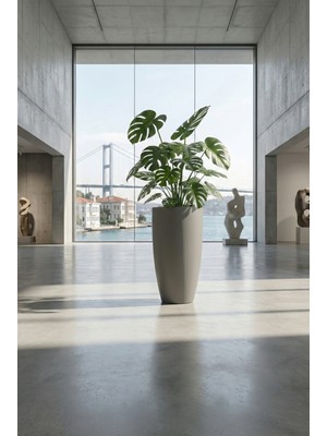 DEQQU Aura Curva 75X42CM Kıvrımlı Konik Fiberglass Saksı Büyük Boy Iç Dış Mekan Dış Mekan