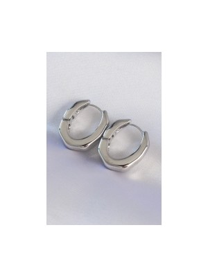 Erbilden Erb Pirinç Gümüş Renk Kalın Kemik Model Küpe