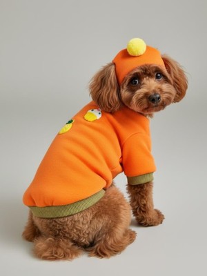 Kemique Pineapple And Ice Cream Turuncu Haki Bereli  Köpekler Için Polar Sweatshirt Takım