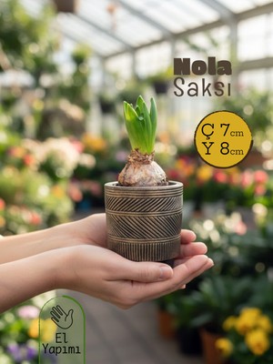 Nola Kahverengi Seramik Saksı 7*8cm
