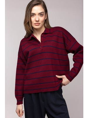 Saade Bordo Çizgili Polo Yaka Düğmeli Triko Kazak Std