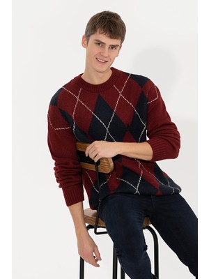 U.S. Polo Assn. Erkek Vişne Bisiklet Yaka Triko Kazak 50256191-VR223