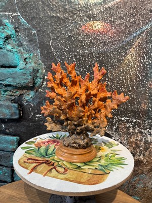 El Boyaması Polyester Mercan