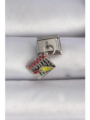 Shoplet Buğz 316L Çelik Gümüş Renk Sallantı Defter Figür Nomination Charm