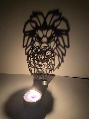 Gölge Mumluk (Aslan)