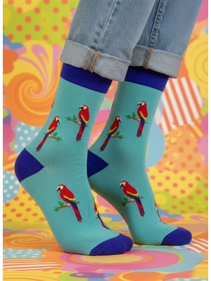 Baff Papağan Desenli Çorap 39-42