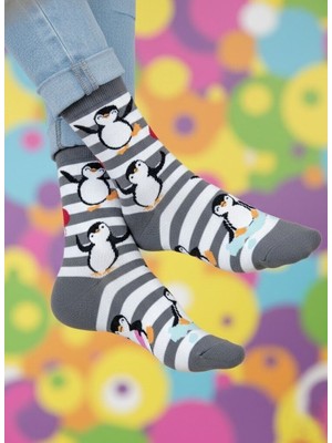 Baff Penguen Desenli Çorap 35-38