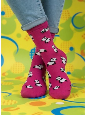 Baff Panda Desenli Çorap 43-46