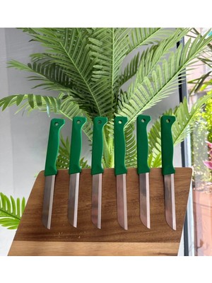 Solingen 6'lı Mat Delikli Meyve Bıçağı