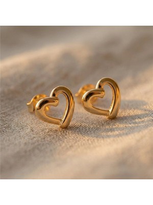 Zeino Ortası Boş Kalp Şekilli Çelik Küpe - 14K Altın Rengi Kaplama, 1 cm