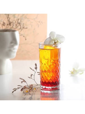 Braventa Collection Lav Odin 4'lü Meşrubat Bardağı