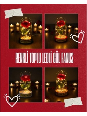 Marsilyan Renkli Toplu Ledli Gül Fanus