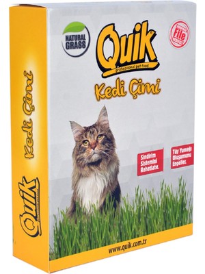 Braventa Collection Quik Gerçek Topraklı Kedi Çimi