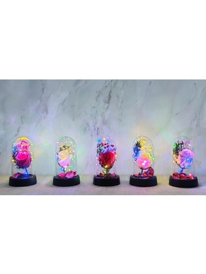 Marsilyan Işıklı Müzikli Romantik Büyük Gül