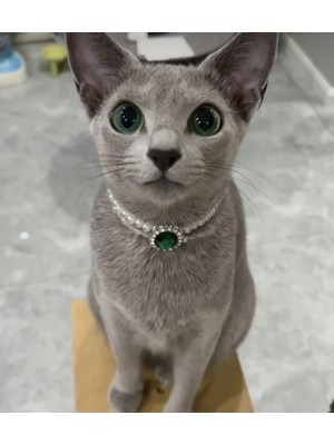 Özbience Yumuşak Yeşil Inci Detaylı Şık Kedi Tasma Kolye