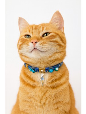 Özbience El Yapımı Nazar Boncuklu Kedi ve Köpek Kolyesi, Ayarlanabilir Kot Kumaş