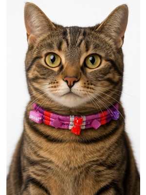 Özbience Fosforlu Renklerde Yıldız ve Kedi Detaylı Sweet Boy/sweet Girl Kolye