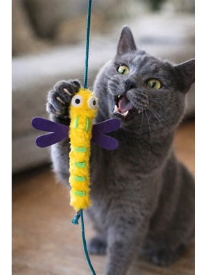Özbience Renkli Uç Uç Böceği ve Yusufçuk Kedi Oltası, Eğlence Dolu Oyuncak