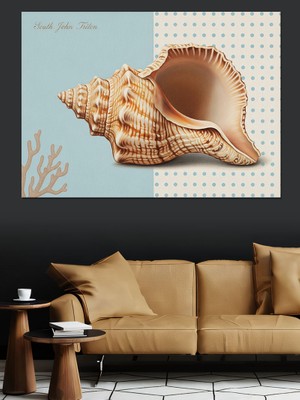 Karizma Tablo Deniz Kabuğu Kumsal Doğal Dekoratif Kanvas - Mdf Ahşap Tablo