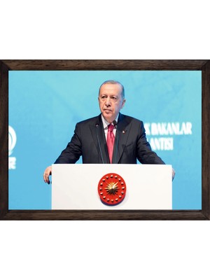 Lioncraft Cumhurbaşkanımız Recep Tayyip Erdoğan, Çerçeveli Cam Duvar Tablosu 40X60 cm Sp9
