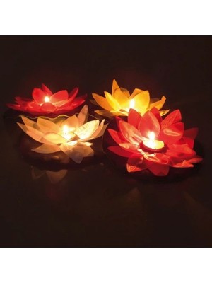 FRY Nilüfer Su Feneri - Lisinya