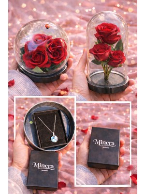 Fırtına Armağan Fanus Içinde 3 Güllü Sürpriz Takı Çelik Dünya Kolye