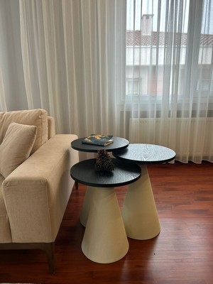 Desping Bottle 3 'lü Mantar Bohem Modern Sehpa Senkron Siyah Suntalam Tabla Alüminyum Gövde