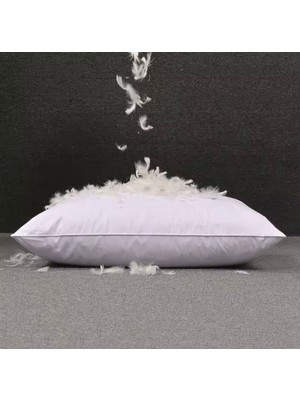 Gustafsson Classic Plus