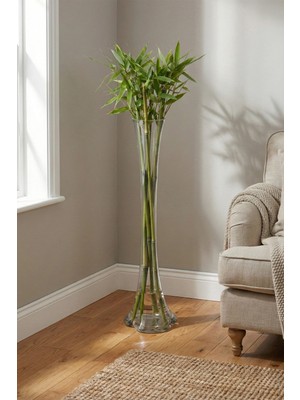 Snow Homs 80 cm Boyutunda Uzun Fil Ayağı Cam Vazo