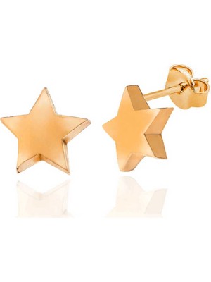 Bazarhane Gümüş Rose Yıldız Çivili Kadın Küpe