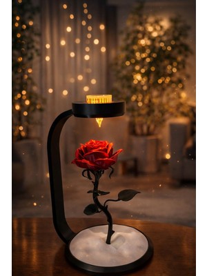 Sevgililer Günü Özel Gül Lambası
