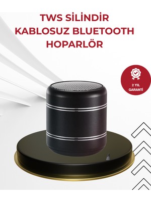 Hatıra Kutusu Kompakt Silindir Metal Bluetooth Hoparlör 400 Mah Uzun Pil Tws Destekli - Lisinya