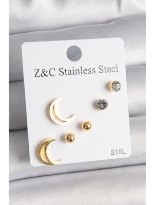 Vice Avm 316L Çelik Gold Renk Zirkon Taşlı Hilal Model Kadın Küpe Seti - TJ-BKP10009 TG-V 8100