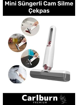 Özbience Asma Delikli Mini Tezgah Cam Silme Süngeri, Banyo ve Mutfak Temizliği