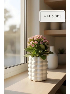 Zuri Design Beton Dekoratif Biblo Bohem Saksı – Iskandinav Tasarım 10 x 17