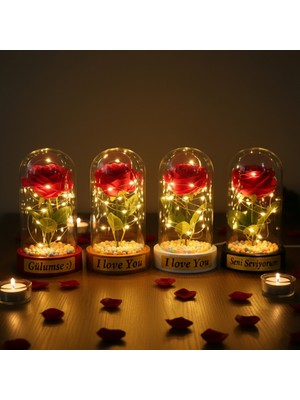 ForWhat Büro Ev Ofis Hediyesi Için Ledli Renkli Toplu Gül Fanus