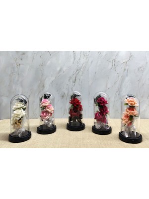 ForWhat Işıklı Müzikli Cam Fanus Içinde Romantik Gül