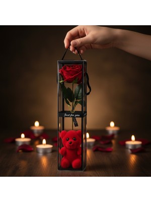 ForWhat Büro Ev Ofis Hediyesi Için Ayıcıklı Şeffaf Kutulu Tekli Gül