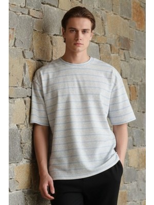 Dofi Dofı Erkek Gri Melanj Bisiklet Yaka Çizgili Rahat Kesim T-Shirt