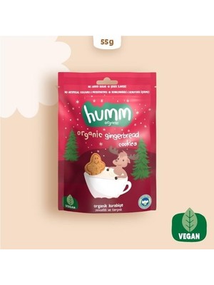 SHC4200 Organik Zencefilli ve Tarçınlı Vegan Kurabiye 55 gr
