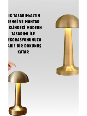 Astraltech %100 Kademeli Ayarlanabilir Işık – USB Şarjlı Masa Lambası