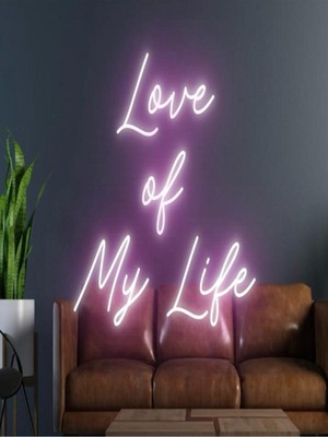 Biz Bu İşin Keyif Kısmındayız Love Of My Life Yazılı Neon Tabela